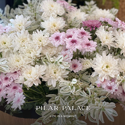 Pilar Palace Instagram
